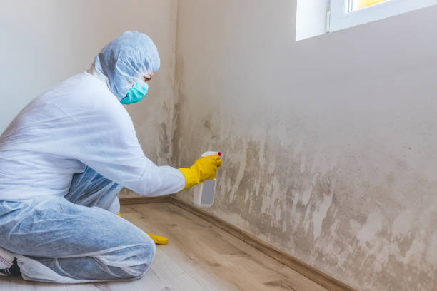 Licensed Commercial Mold Remediation service in Beaverton, OR - WQB Mold Removal