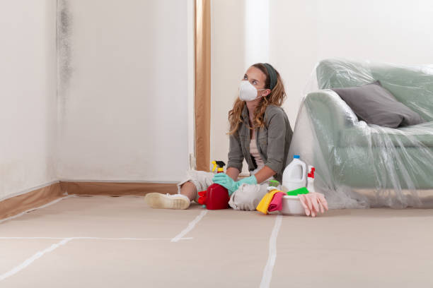 Reliable Commercial Mold Remediation contractor in Beaverton, OR by WQB Mold Removal